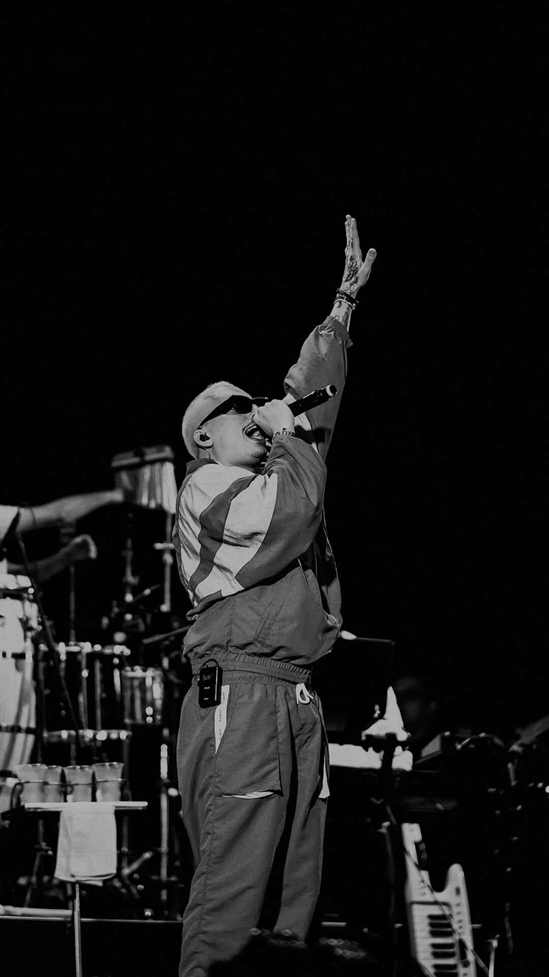 Gustavinn no palco 5