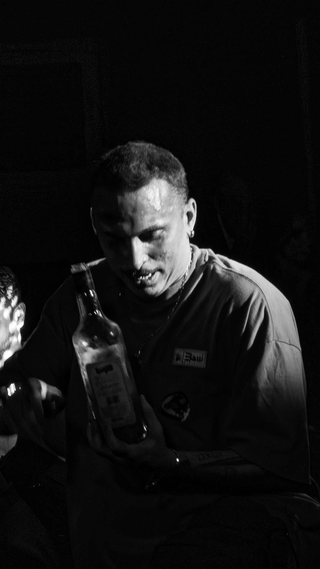 Gustavinn no palco 10